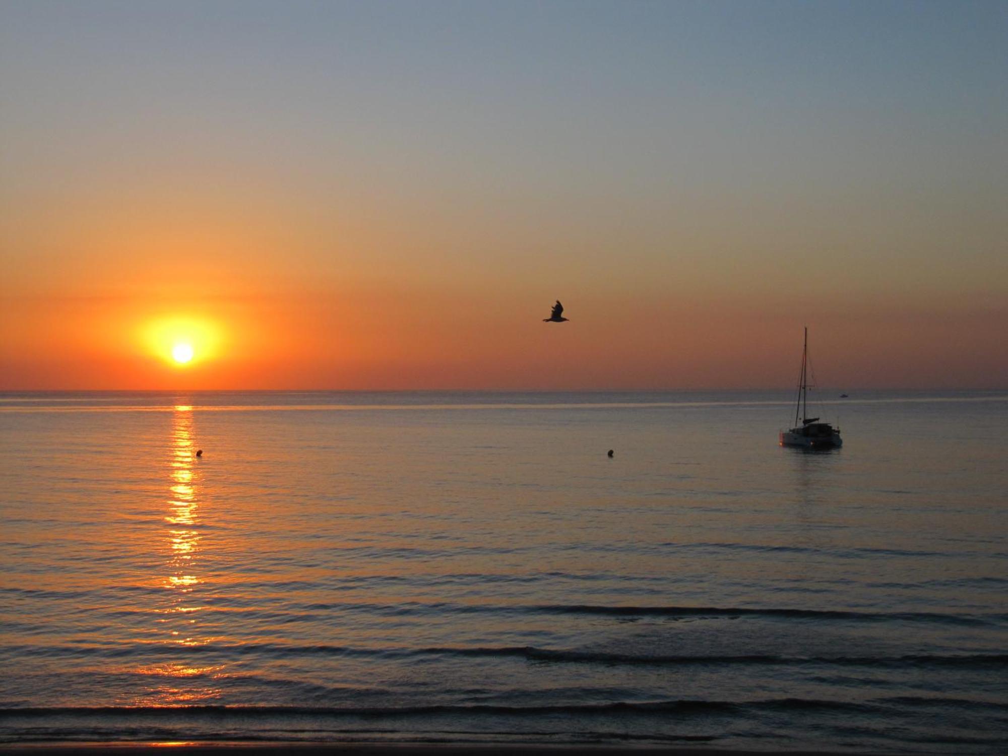 Excepcional Apartamento Loft A Pie De Playa En Chalet Roquetes Alicante Buitenkant foto